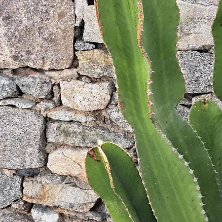 Anixi - Primavera Mykonos Apartment Ornos (Mykonos)