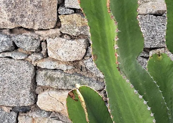 Anixi - Primavera Mykonos Appartamento Ornos (Mykonos)